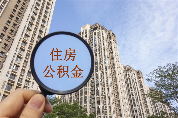 洛阳公积金新政今起实施（洛阳公积金新政出台）
